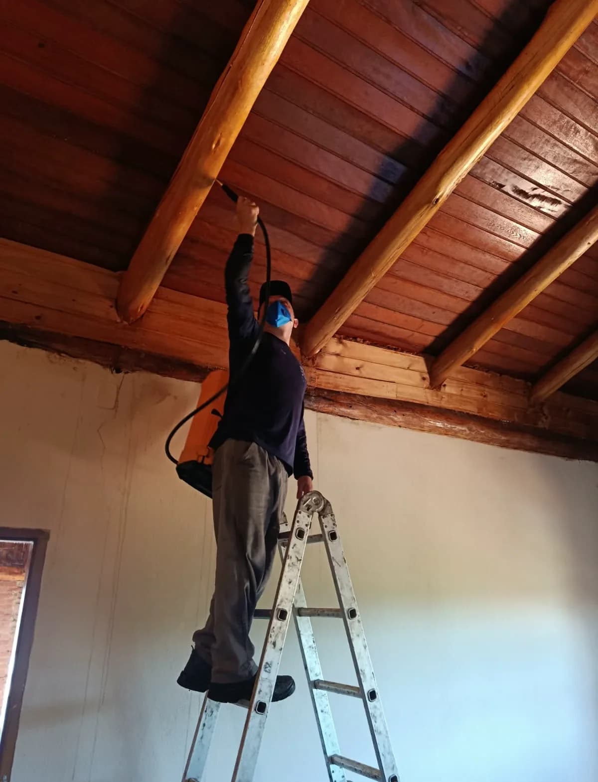 Dedetização profissional no Centro de Franca SP