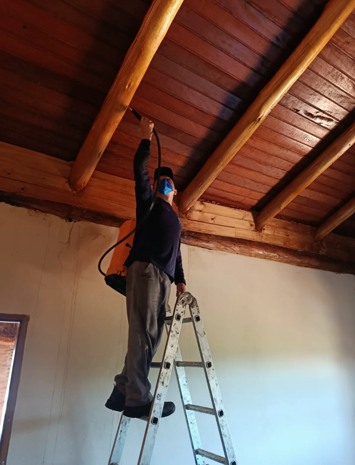Desinsetização profissional